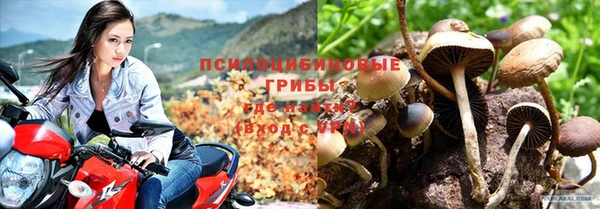 гашик Алзамай