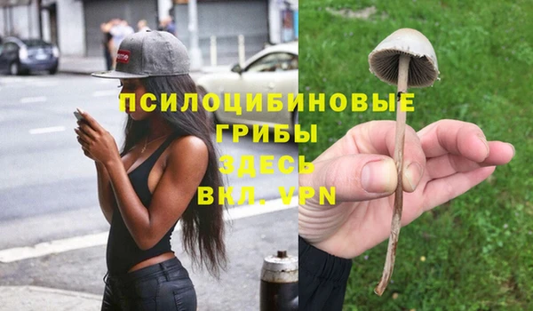 стаф Абаза