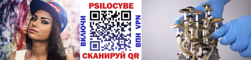 Псилоцибиновые грибы Psilocybine cubensis  наркотики  blacksprut ТОР  Черкесск 
